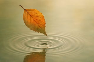 A single golden-brown leaf hovers just above the surface of a still pond, creating gentle ripples in the water. The soft, earthy background evokes a calm, meditative mood.