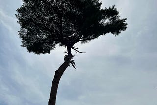 必要的孤獨