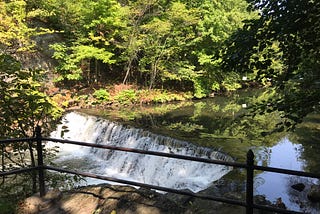 Waterfalls and Bear Dens in ‘Da Bronx’
