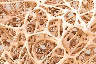 bone structure