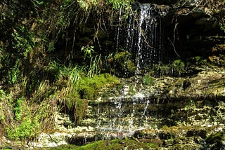 How Tiny Waterfalls Helped Me to Save My Face