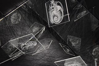 Aestheticising the Invisible