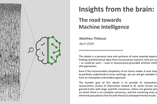 Insights from the brain — The road towards Machine Intelligence