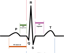 Generating Live Heartbeat