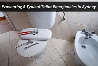 Preventing 5 Typical Toilet Emergencies In Sydney