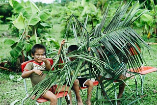 A Floresta está VIVA e AO VIVO