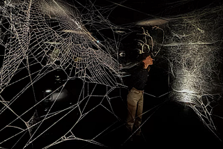 A person standing in the center of a dark room. Spotlights illuminate the expansive and  delicate geometry of spider webs.