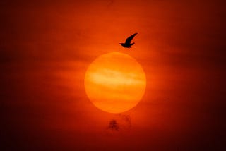 Icarus