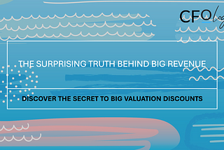 The Surprising Truth Behind Big Revenue and Big Valuation Discounts