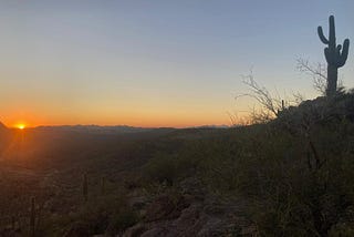A sunset and a saguaro cactus