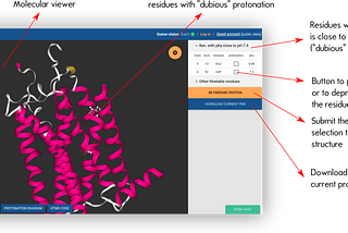 How to prepare a protein structure using PlayMolecule® ProteinPrepare [TUTORIAL]