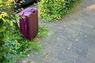 How an Unattended Suitcase Predicts the Fate of Our World
