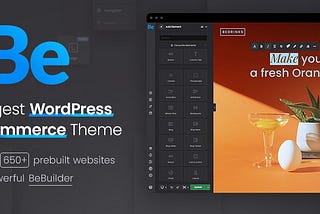 10+ Best WordPress Themes for 2023