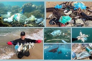 After the Mask: Is Pandemic Mask-wearing a New Source of Plastic Ocean Pollution?