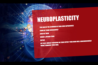 Neuroplasticity: Become a Steward of Your Own Experiences