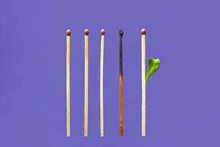 Some unlit matches and a burnt one. A new match with a leaf sprouting out of it.