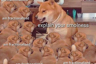 Fractionalistion Theory: How The Doge NFT is a Mini PleasrDAO