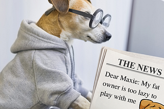 Picture of a dog, wearing glasses, typing on a computer. There is a newspaper that says, “dear Maxie, my fat owner is too lazy to play with me.”