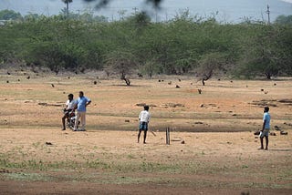 Cricket Memoirs — I
