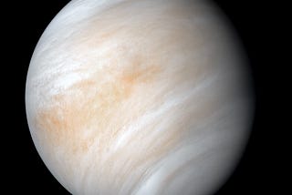 So You Think There’s Life On Venus?