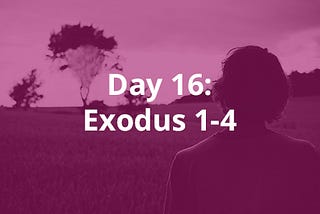 Day 16: Exodus 1–4