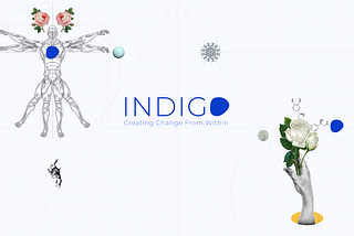 Venture Studio Indigo announces $1 million in funding to build ConsciousTech companies