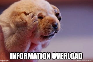 A puppy holding its paws over its ears and scrunching its face with the words “information overload” across the bottom