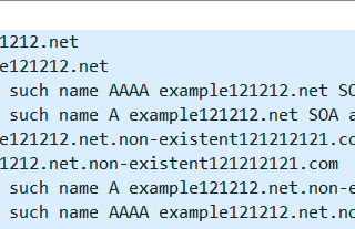 Internal domain names: What are you hiding and what are you leaking?