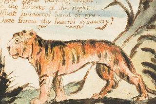 Kendimce Yorumlama: The Tyger, William Blake