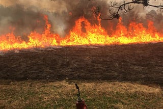 Controlled Burns and Why We Need Them