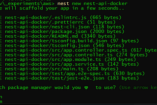 NestJs and Docker with some AWS (Part 1)