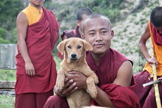 全球第一個！ 不丹宣布全國流浪狗完成結紮和疫苗接種