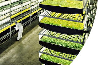 Dikey Tarım Nedir? (Vertical Farming)
