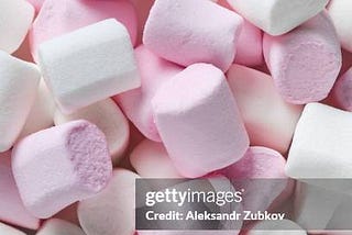 The Marshmallow Experiment: How Delayed Gratification Leads to Long-Term Success