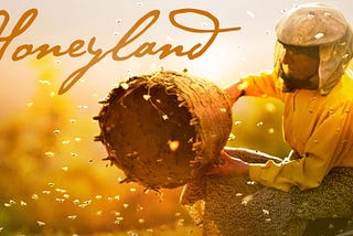 “Half For Me Half For The Bees” In Hatige’s Honeyland