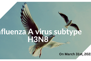 Latest Updates on China’s Third Human Case of H3N8 Bird Flu Virus and How to Protect Yourself