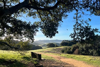 Petaluma: A Visitor’s Guide