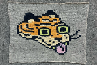 Tigerbob: The Next 100 days