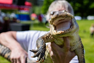 Petpalooza 2025: The Most Paws-itively Unmissable Event of the Year!