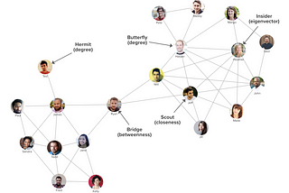 Exploring the roles people play within networks