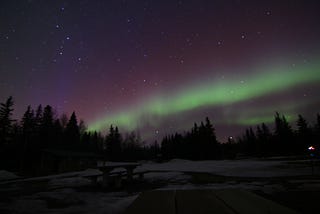 The Northern Lights glowing green above dark fir trees, with stars showing above a frozen lake.