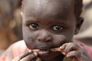 Gaza famine classification — request for a neutral, data first reassessment