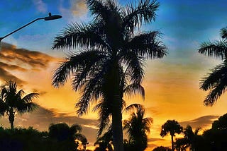 Clarification Needed on Citywide Streetlight Discrepancies