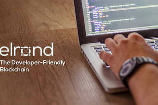 Elrond: Ang Blockchain na Developer-Friendly