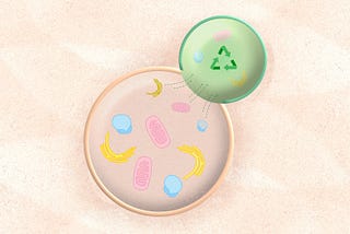 Defective membrane trafficking in Amyotrophic Lateral Sclerosis (ALS)