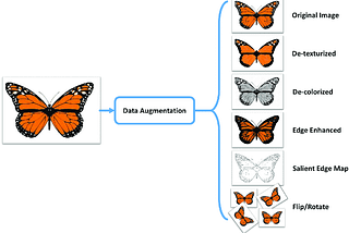 Data Augmentation Increases Accuracy of your model — But how ?