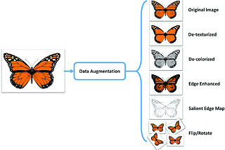 Automating Data Augmentation