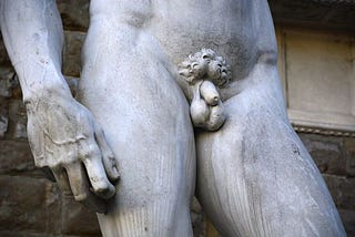 A photo of the penis of the famous statue “David”.