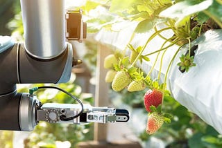 Agritech: The future of Indian Market.
