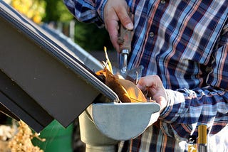 Gutter Cleaning for Pest Prevention and Control